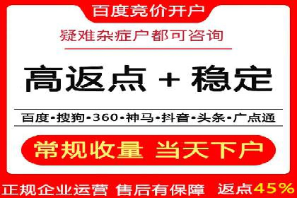 大型企业SEM外包实战案例